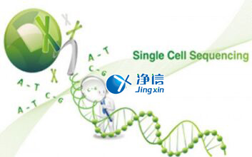 中國(guó)人自己的微流控單細(xì)胞測(cè)序儀來了！_微流控Drop-seq,微流控技術(shù)