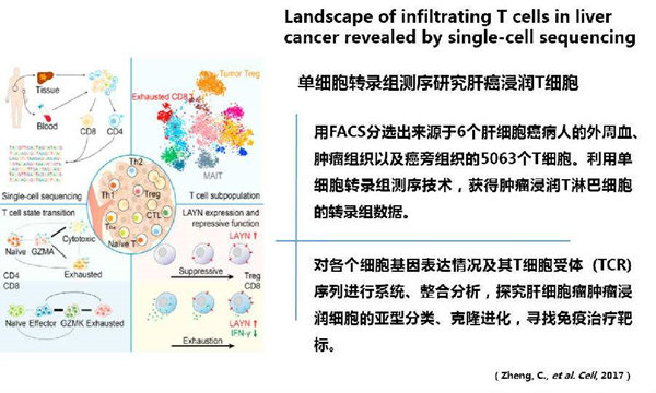 RNA-seq單細胞轉錄組測序在眼科領域中的研究應用