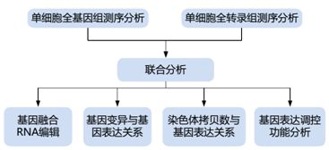 單細(xì)胞轉(zhuǎn)錄組測(cè)序的方法原理及應(yīng)用