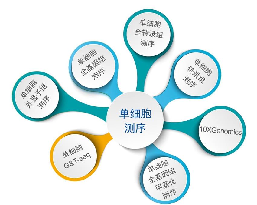 單細(xì)胞轉(zhuǎn)錄組測(cè)序(10x Genomics)詳解